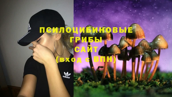 спиды Нефтегорск