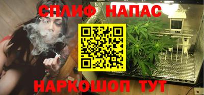 прущие грибы Канаш