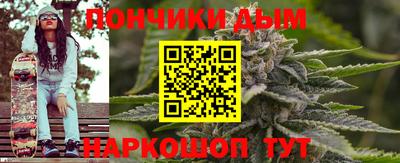 шишки Аргун