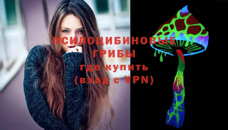 Псилоцибиновые грибы Psilocybine cubensis Соликамск