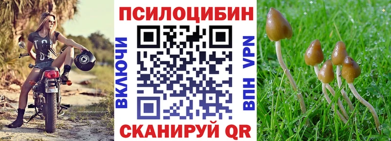 Галлюциногенные грибы Cubensis  Соликамск 