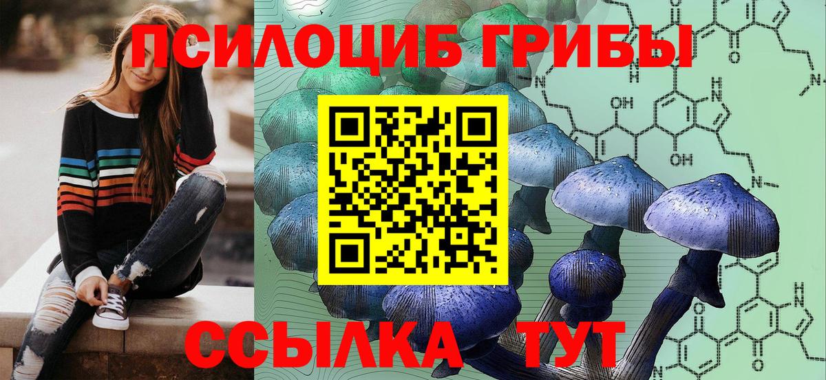 Псилоцибиновые грибы мицелий  Соликамск  сколько стоит  Галлюциногенные грибы Psilocybine cubensis 